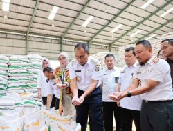 Stok Beras di Makassar Dijamin Aman hingga Akhir Tahun 2023