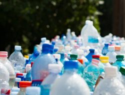 Mengubah Sampah Plastik Menjadi Peluang Bisnis Rumahan yang Kreatif