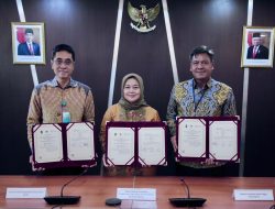 Interkoneksi Sistem Informasi Meningkatkan Kinerja Industri Kayu Olahan dan Furnitur