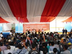 Presiden Jokowi dan Mendag Tinjau Cadangan Beras