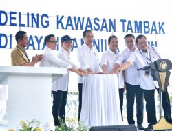 Presiden Jokowi Resmikan Model Kawasan Tambak Budidaya Ikan Nila Salin