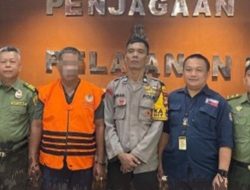 GAKKUM KLHK Tangkap Pensiunan PNS Pemodal Pemalsuan Dokumen Kayu Ilegal