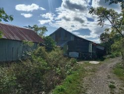 Pelaku Usaha Ayam Potong di Leang-leang Keluhkan Rendahnya Daya Listrik