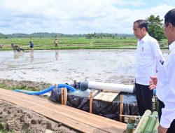 Presiden Joko Widodo Tinjau Pompanisasi di Bone