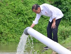 Presiden Jokowi Tinjau Program Pompanisasi di Desa Layoa, Bantaeng