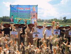 Menko PMK Muhadjir Effendy Tinjau Panen Raya Jagung di Ponorogo