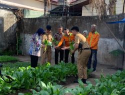 Ketua TP PKK Kota Makassar Kunjungi Lorong Wisata