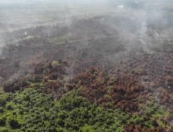 KLHK Tingkatkan Penegakan Hukum Terhadap Kebakaran Hutan dan Lahan