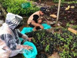 Mahasiswa KKN UMMA Gelar Program Pembuatan Apotek Hidup di Kelurahan Balocci Baru