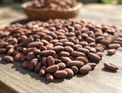 Harga Referensi CPO dan Biji Kakao Turun pada Periode Maret 2025