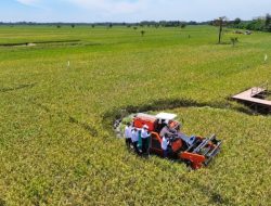 Presiden Prabowo Dialog dengan Petani Saat Panen Raya Nasional 14 Provinsi
