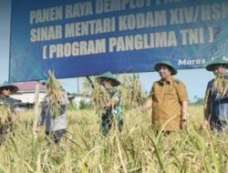 Bupati Maros dan Forkopimda Panen Raya Padi Bersama Program Panglima TNI di Bantimurung