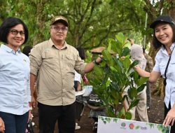 Wamen PPPA Tekankan Peran Perempuan dalam Keberhasilan Perhutanan Sosial di DIY