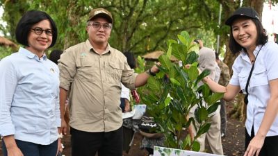 Wamen PPPA Tekankan Peran Perempuan dalam Keberhasilan Perhutanan Sosial di DIY