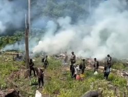 Bareskrim Bongkar 25 Hektare Ladang Ganja di Aceh