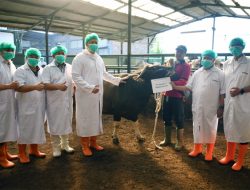 Kemendag Serahkan Hewan Kurban Iduladha 1446 H