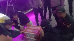 120 Burung Liar Ilegal Diamankan di Pelabuhan Bakauheni