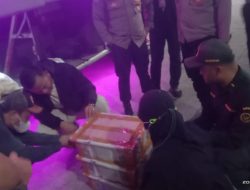 120 Burung Liar Ilegal Diamankan di Pelabuhan Bakauheni