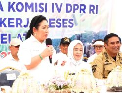 Panen Raya di Maros, Bupati Chaidir Syam Dampingi Titiek Soeharto