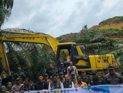 Kemenhut dan Satgas Garuda PKH Tertibkan Kebun Sawit Ilegal di TN Gunung Leuser