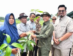 17 Juta Bibit Pohon Ditargetkan Dibagikan Kemenhut Sepanjang 2025