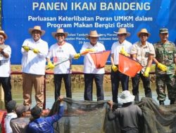 Bupati Maros Dampingi Deputi Kementerian UMKM RI Tinjau Program Pengembangan Usaha Mikro