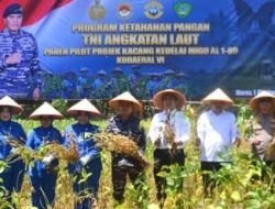 Wabup Maros dan KODAERAL VI Makassar Panen Raya Kedelai MIGO AI, Peringati HUT TNI ke-80