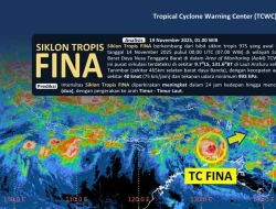 Siklon Tropis FINA Terbentuk, BMKG Peringatkan Cuaca Ekstrem di Maluku dan NTT