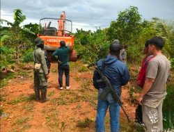 Gakkum dan Balai TN Kutai Tangkap Pelaku Galian Ilegal, Sita Ekskavator di Kawasan Konservasi