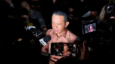 Presiden Prabowo Dorong Percepatan Program Satu Desa Satu Megawatt