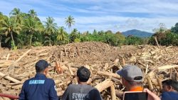 Menteri LH/BPLH Tinjau Lokasi Banjir Garoga: Satu Perusahaan Tambahan Dihentikan Sementara, Audit Lingkungan Diperketat