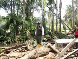 Menhut Raja Juli Antoni Tinjau Lokasi Banjir dan Longsor di Agam