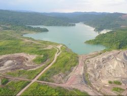 ESDM Tetapkan Denda Administratif Tambang di Kawasan Hutan, Nikel Tertinggi Rp6,5 Miliar per Hektare