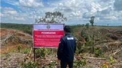 Kerusakan Hulu DAS Diduga Perparah Banjir di Sumatera, Ditjen Gakkum Kementerian Kehutanan Tegaskan Penegakan Hukum