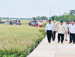 Presiden Prabowo Tinjau Inovasi Hilirisasi dan Teknologi Pertanian Modern Saat Panen Raya di Karawang