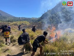 Kebakaran di Savana Rinjani Padam, Hampir 100 Hektare Lahan Terdampak