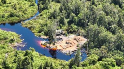 Operasi Gabungan Ungkap Peredaran Kayu Ilegal di DAS Mentaya, 70 Batang Kayu Diamankan