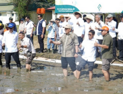 Wakil Bupati Maros Lakukan Tanam Padi Perdana di Kawasan Modernisasi Pertanian BRMP Serealia