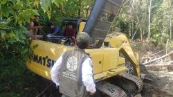 Pembalakan Liar di Mentawai, PT BRN Didenda dan Wajib Bayar Ganti Rugi Ekologi Rp78 Miliar