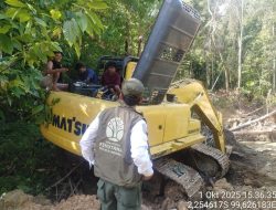 Pembalakan Liar di Mentawai, PT BRN Didenda dan Wajib Bayar Ganti Rugi Ekologi Rp78 Miliar