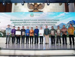 Pemerintah Luncurkan Indonesia Forestry Carbon Hub, Potensi Transaksi Karbon Capai Rp5 Triliun