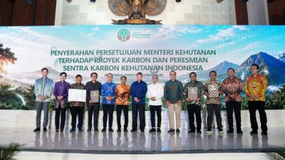 Pemerintah Luncurkan Indonesia Forestry Carbon Hub, Potensi Transaksi Karbon Capai Rp5 Triliun