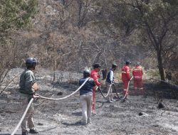 Api Terkendali, Kemenhut Lanjutkan Pendinginan Area Bekas Kebakaran Bromo
