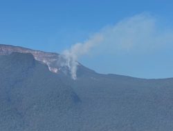 Kebakaran Lahan di Gunung Gede Pangrango Padam, Jalur Pendakian Ditutup