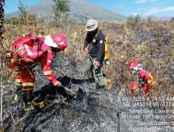Kebakaran di Gunung Rinjani Berhasil Dikendalikan, Tim Lakukan Penyisiran