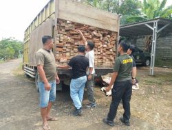 Angkut Kayu Ilegal dari TN Bukit Tigapuluh, Satu Tersangka Ditahan