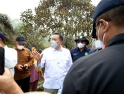 Wamen LH Dorong Perusahaan Bangun Sekat Kanal Cegah Karhutla di Kubu Raya