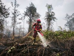 Hotspot Karhutla Nasional Naik, Kalimantan Tengah Jadi Perhatian