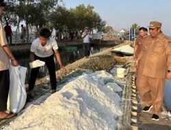 Bupati Maros Tinjau Produksi Garam Krosok Warga Ampekale