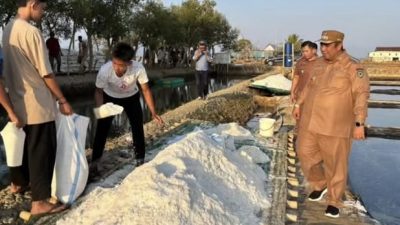 Bupati Maros Tinjau Produksi Garam Krosok Warga Ampekale